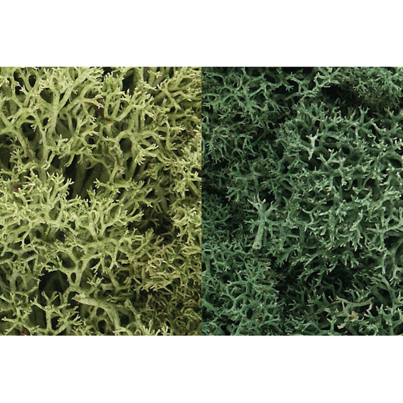 Lichen Bag, Light Green Mix/165 cu. in.