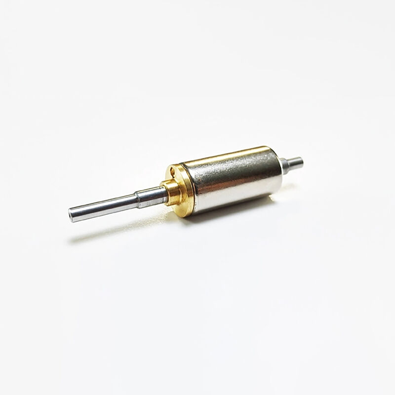 12.3mm x 25.5mm (25.5 turn motor ROAR) Black