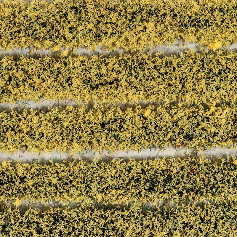 4mm Daffodils