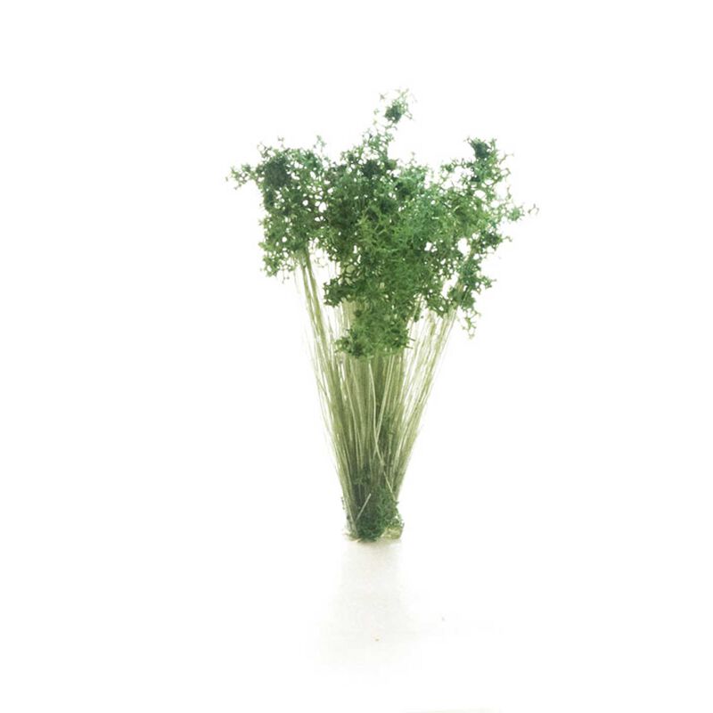 Dark Green Shrubs Tufts