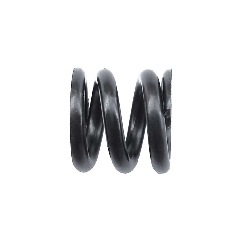 Slipper Spring, 1/10 Team Associated RC10B74.1