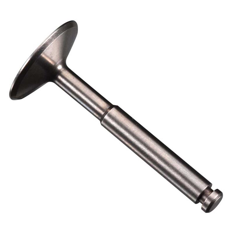 Valve: FS-95V