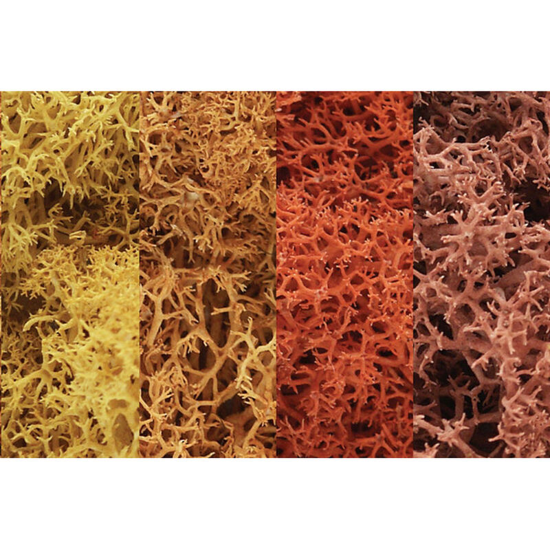 Lichen Bag, Autumn Mix/82 cu. in.