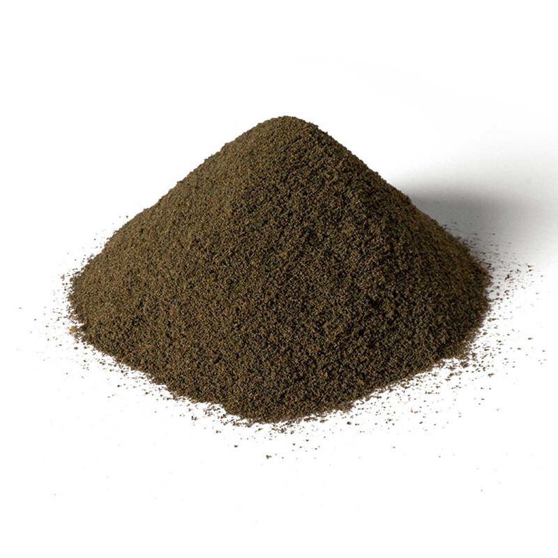 Earth Base Layer
