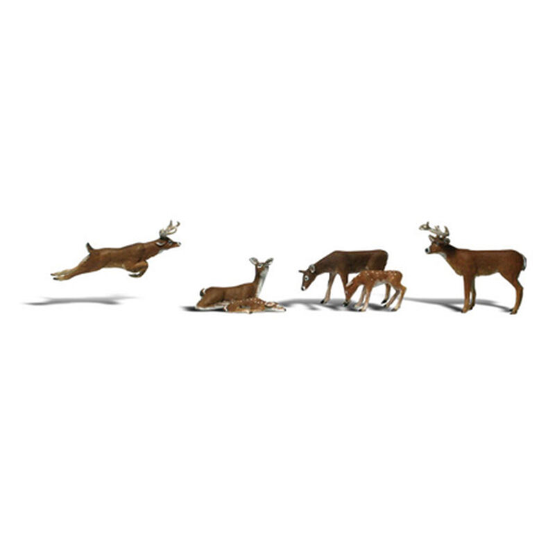 O Deer