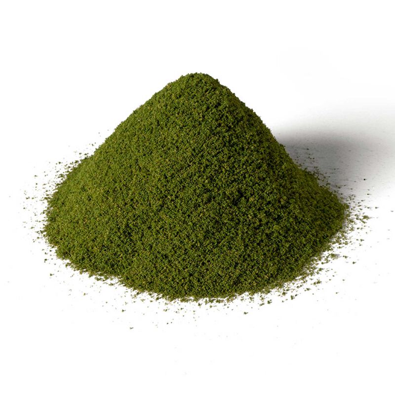 Summer Grass