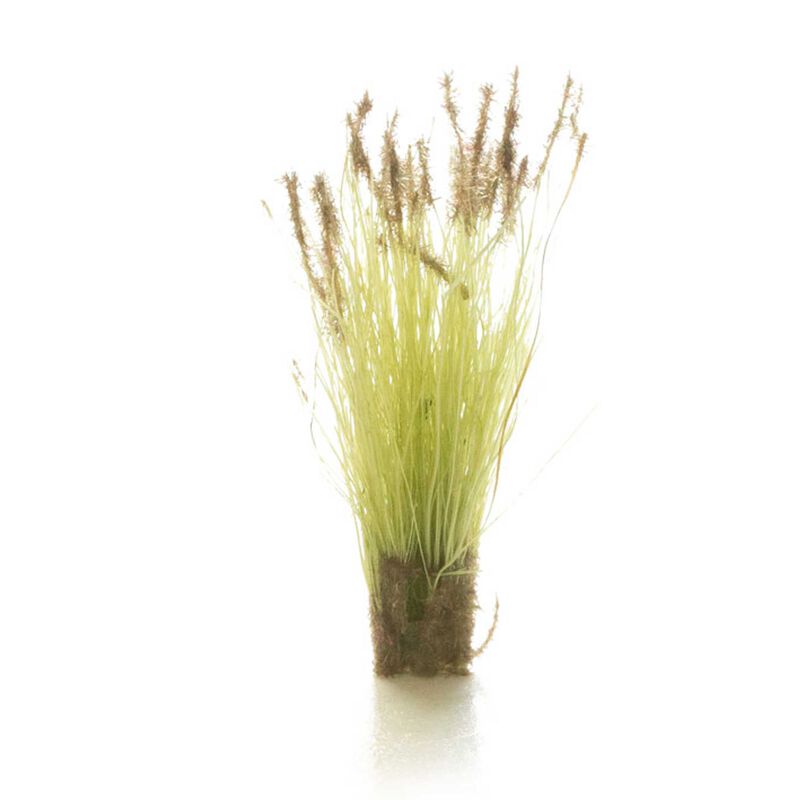 Cattails Tufts