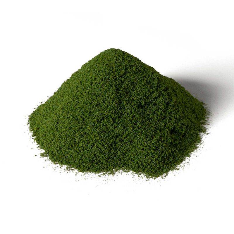 Spring Grass