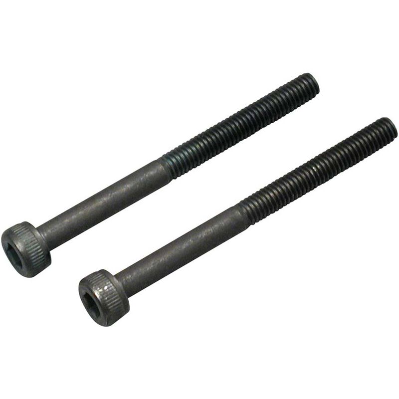 Muffler Mounting Screws #873 (2)