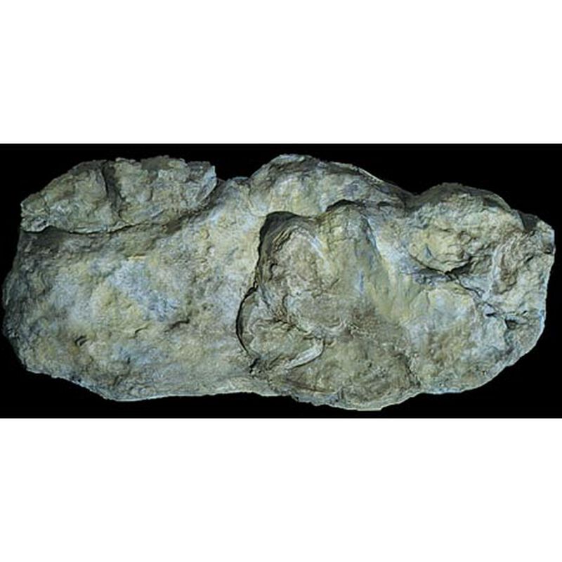 Rock Mold, Washed Rock