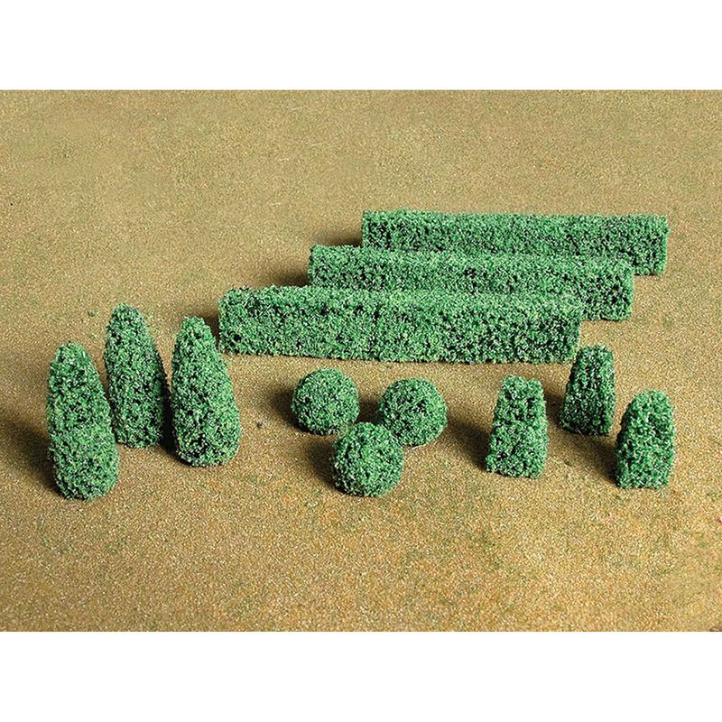 Boxwood Plants (20)