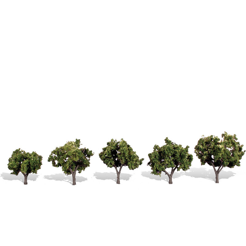 Classics Tree, Sun Kissed 1.25-2" (5)
