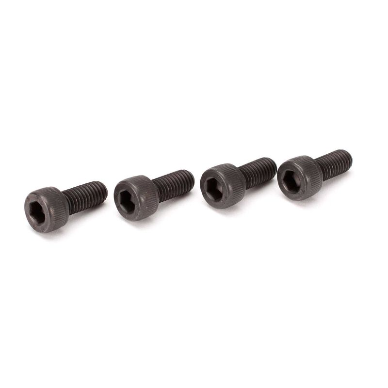 M5 x 12 Screw (4)